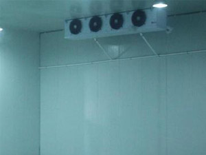 三個小技巧,輕松辨別真假冷庫安裝公司 三個小技巧,輕松辨別真假冷庫安裝公司