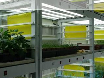 人工氣候室設(shè)計(jì)的主要方向 人工氣候室設(shè)計(jì)的主要方向